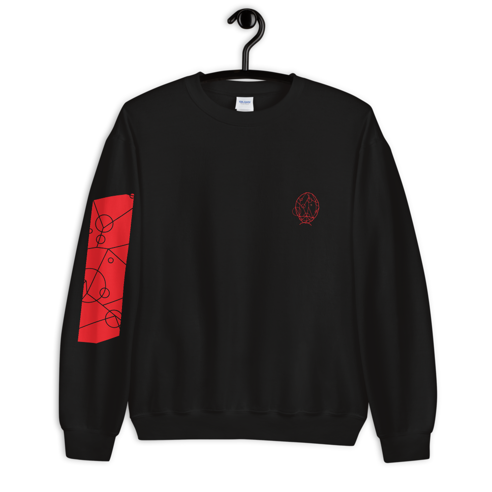 unisex-crew-neck-sweatshirt-black-5fed18356538e