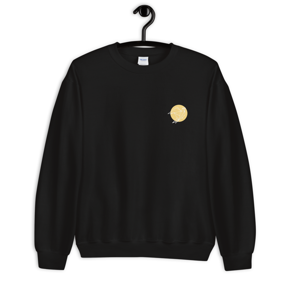 unisex-crew-neck-sweatshirt-black-5fef579bb71c5